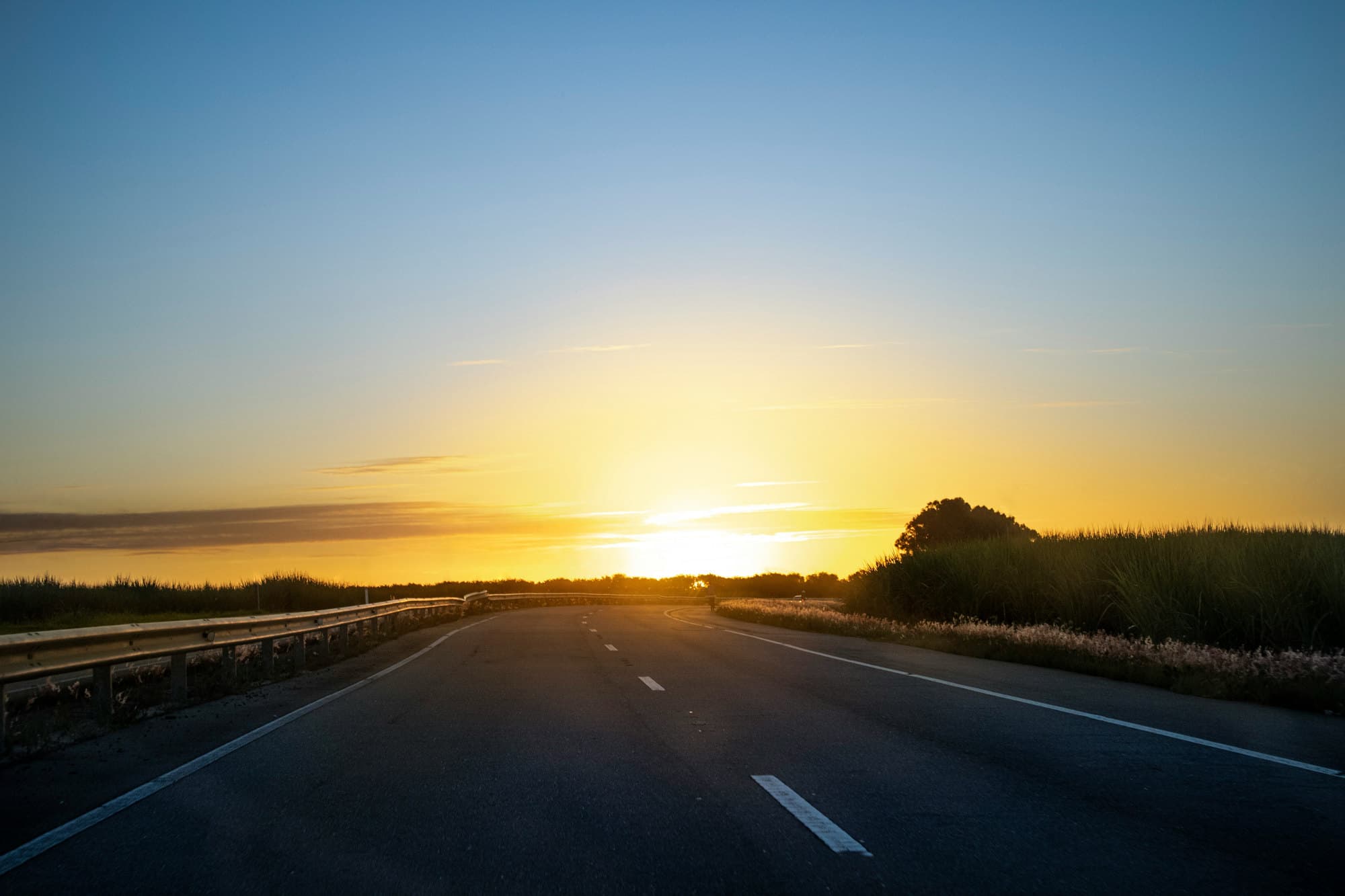 Rodovia de pista dupla ao amanhecer, com o sol nascendo no fim da reta e canavial à direita